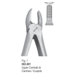 <h1>Extracting Forceps</h1> <h4> Fórceps De Extracción </h4> <h4> Zahnzangen </h4>