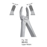 Extracting Forcep-10