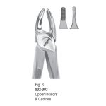Extracting Forcep-3