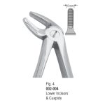 <h1>Extracting Forceps</h1> <h4> Fórceps De Extracción </h4> <h4> Zahnzangen </h4>