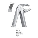 Extracting Forceps-014