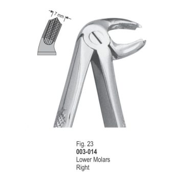 <h1>Extracting Forceps</h1> <h4> Fórceps De Extracción </h4> <h4> Zahnzangen </h4>