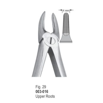 <h1>Extracting Forceps</h1> <h4> Fórceps De Extracción </h4> <h4> Zahnzangen </h4>