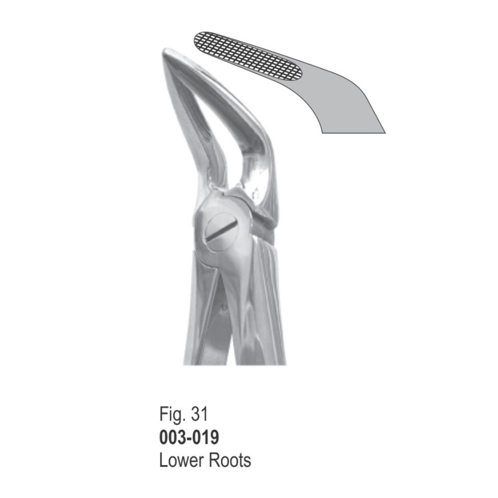 Extracting Forceps-019