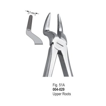<h1>Extracting Forceps</h1> <h4> Fórceps De Extracción </h4> <h4> Zahnzangen </h4>