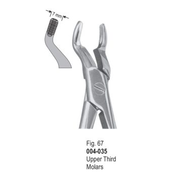 <h4>Extracting Forceps</h4> <h6> Fórceps De Extracción </h6> <h6> Zahnzangen </h6>