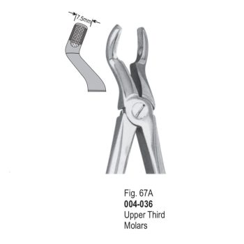 <h1>Extracting Forceps</h1> <h4> Fórceps De Extracción </h4> <h4> Zahnzangen </h4>