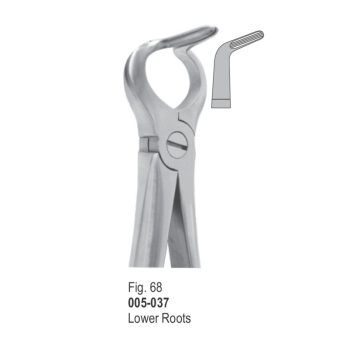 <h1>Extracting Forceps</h1> <h4> Fórceps De Extracción </h4> <h4> Zahnzangen </h4>