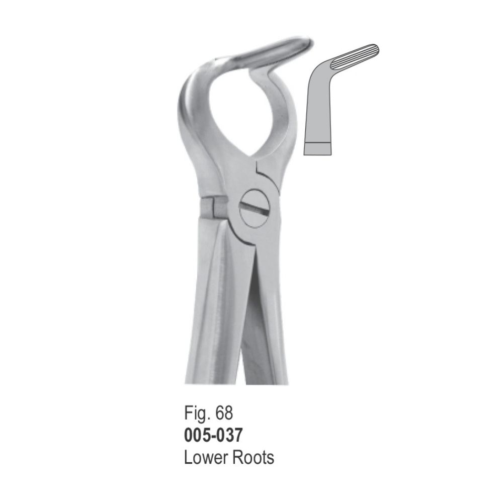 Extracting Forceps-037