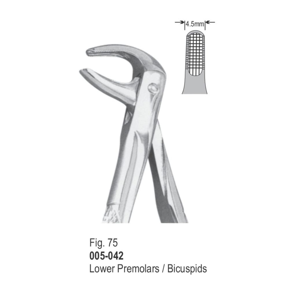 Extracting Forceps-042