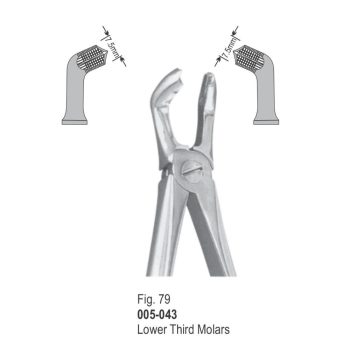 <h4>Extracting Forceps</h4> <h6> Fórceps De Extracción </h6> <h6> Zahnzangen </h6>