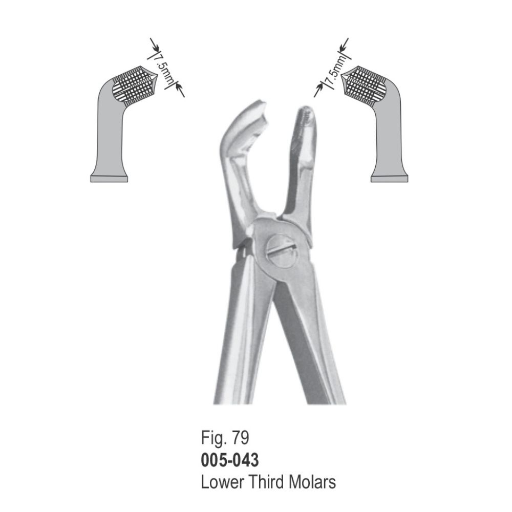 Extracting Forceps-043