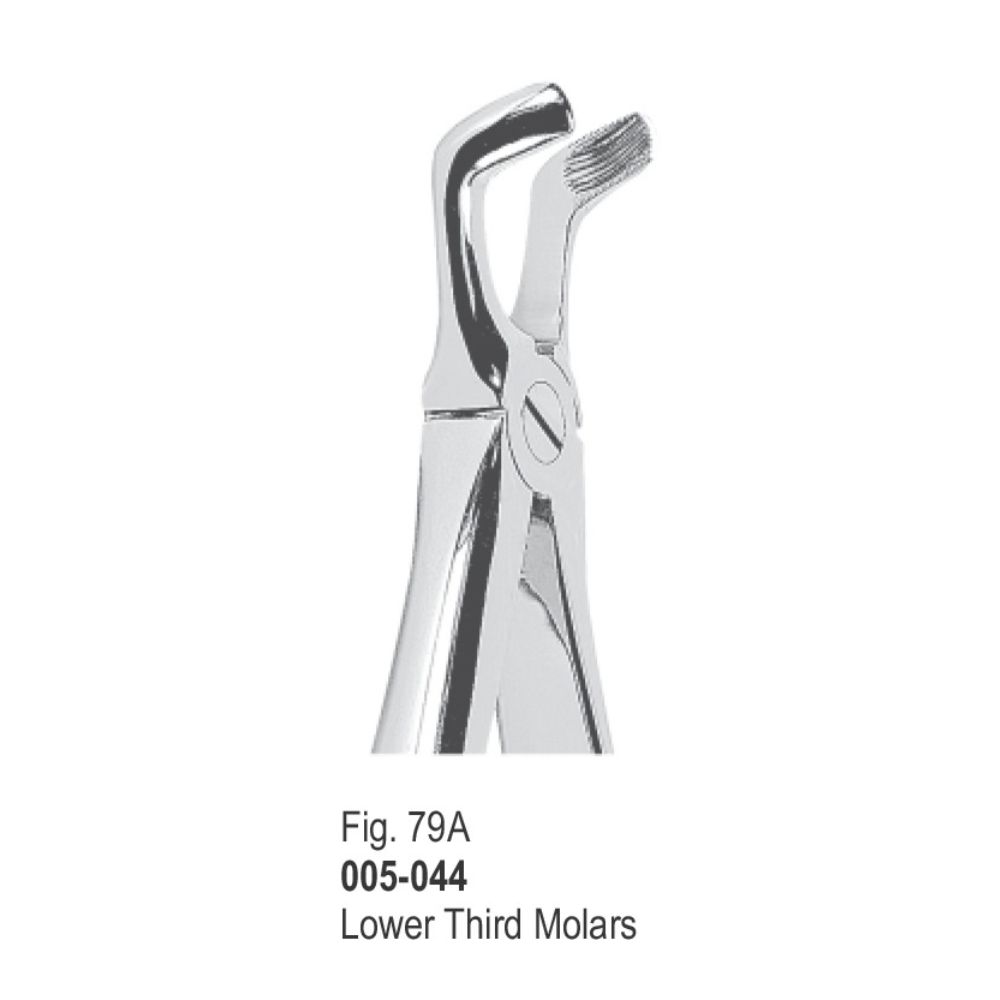 Extracting Forceps-044