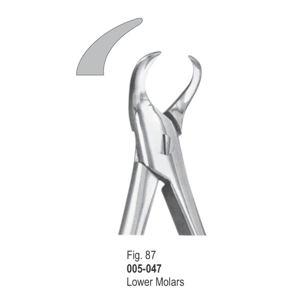 Extracting Forceps-047
