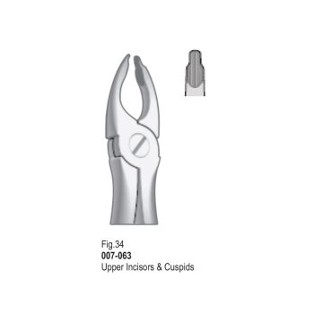 <h4>Extracting Forceps</h4> <h6> Fórceps De Extracción </h6> <h6> Zahnzangen </h6>