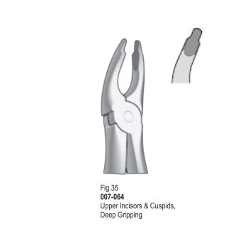 <h4>Extracting Forceps</h4> <h6> Fórceps De Extracción </h6> <h6> Zahnzangen </h6>