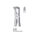 <h1>Extracting Forceps</h1> <h4> Fórceps De Extracción </h4> <h4> Zahnzangen </h4>