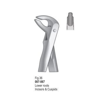<h4>Extracting Forceps</h4> <h6> Fórceps De Extracción </h6> <h6> Zahnzangen </h6>