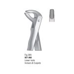 <h1>Extracting Forceps</h1> <h4> Fórceps De Extracción </h4> <h4> Zahnzangen </h4>