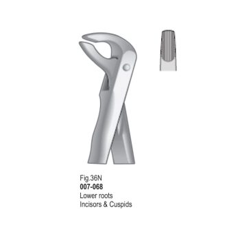 <h4>Extracting Forceps</h4> <h6> Fórceps De Extracción </h6> <h6> Zahnzangen </h6>