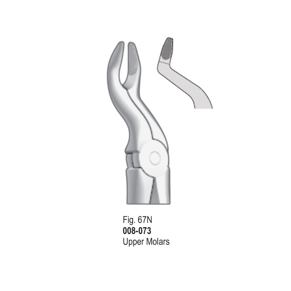 Extracting Forceps-073