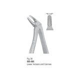 <h1>Extracting Forceps</h1> <h4> Fórceps De Extracción </h4> <h4> Zahnzangen </h4>