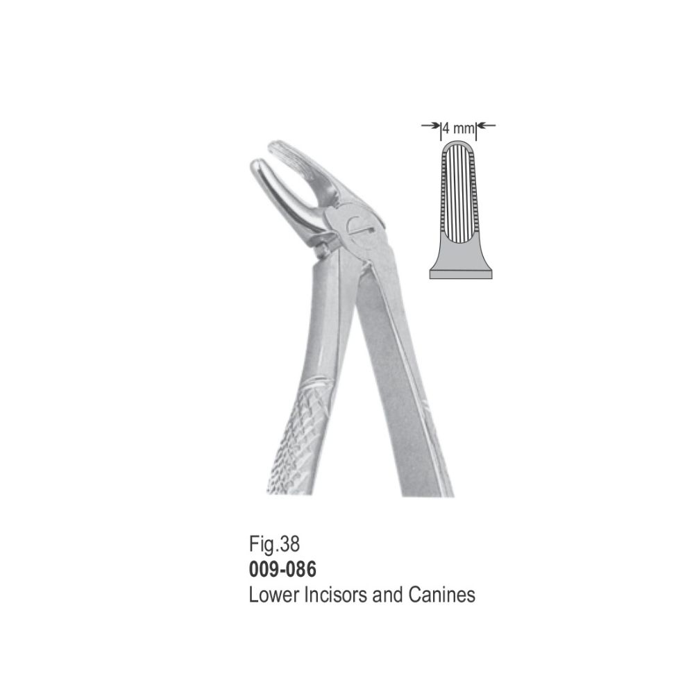Extracting Forceps-086
