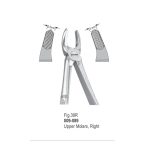 Extracting Forceps-089