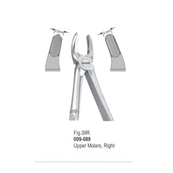 <h1>Extracting Forceps</h1> <h4> Fórceps De Extracción </h4> <h4> Zahnzangen </h4>