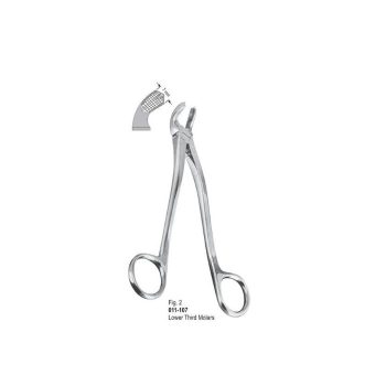 <h4>Extracting Forceps</h4> <h6> Fórceps De Extracción </h6> <h6> Zahnzangen </h6>