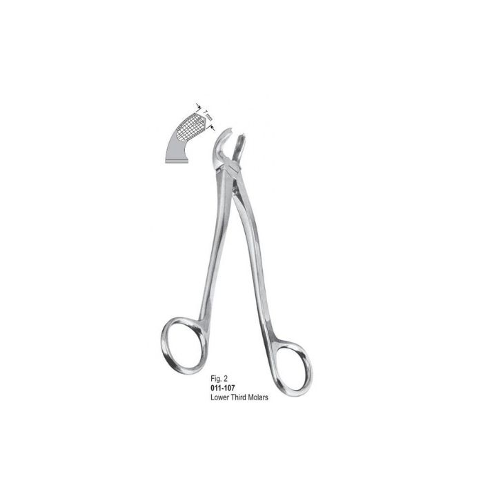 Extracting Forceps 011-107