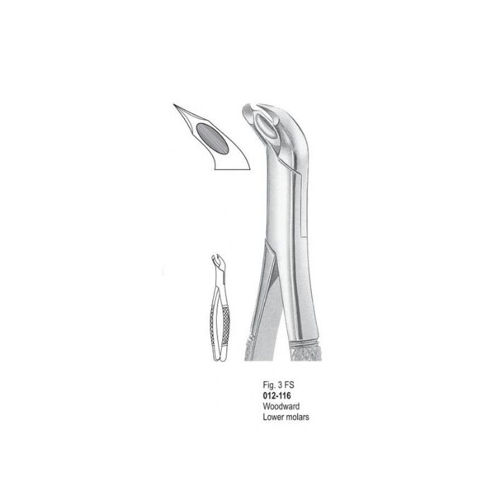 Extracting Forceps 012-116