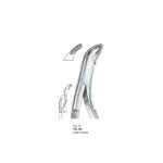<h1>Extracting Forceps</h1> <h4> Fórceps De Extracción </h4> <h4> Zahnzangen </h4>