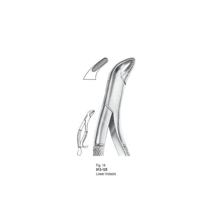 Extracting Forceps 013-125
