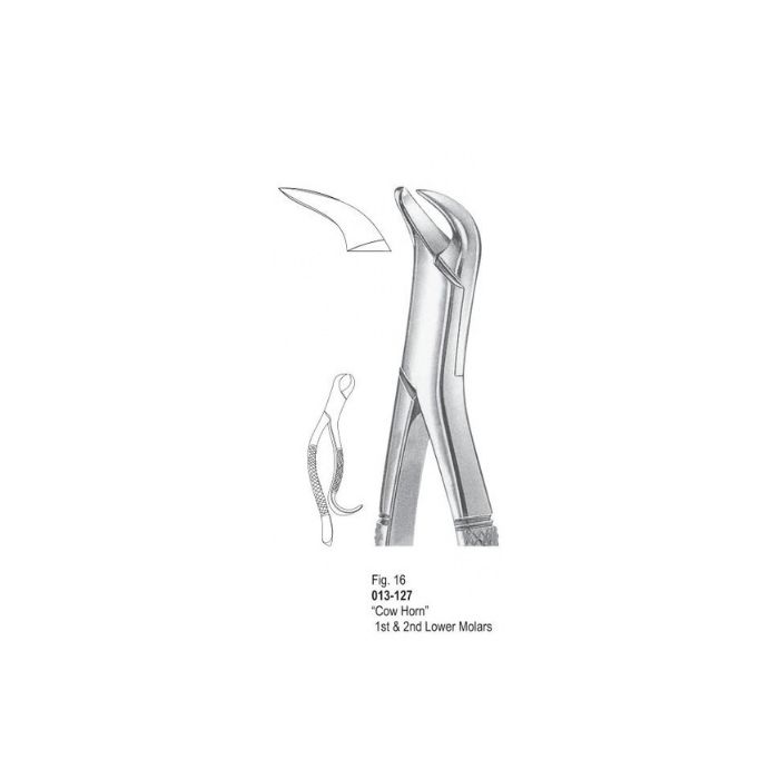 Extracting Forceps 013-127