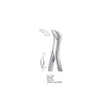 Extracting Forceps 013-128