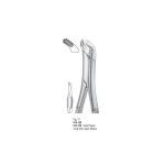 <h1>Extracting Forceps</h1> <h4> Fórceps De Extracción </h4> <h4> Zahnzangen </h4>