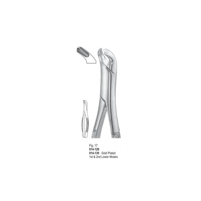 Extracting Forceps 014-129-30