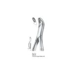 Extracting Forceps 014-131