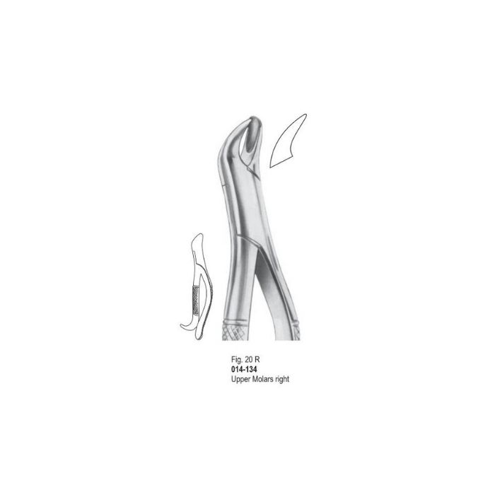 Extracting Forceps 014-134