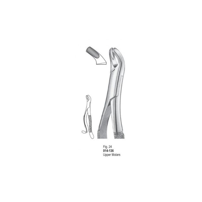 Extracting Forceps 014-136