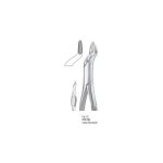 <h4>Extracting Forceps</h4> <h6> Fórceps De Extracción </h6> <h6> Zahnzangen </h6>