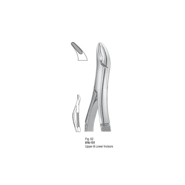 Extracting Forceps 016-151