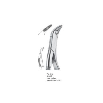 <h4>Extracting Forceps</h4> <h6> Fórceps De Extracción </h6> <h6> Zahnzangen </h6>