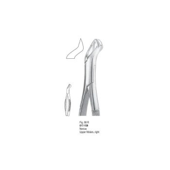 <h4>Extracting Forceps</h4> <h6> Fórceps De Extracción </h6> <h6> Zahnzangen </h6>