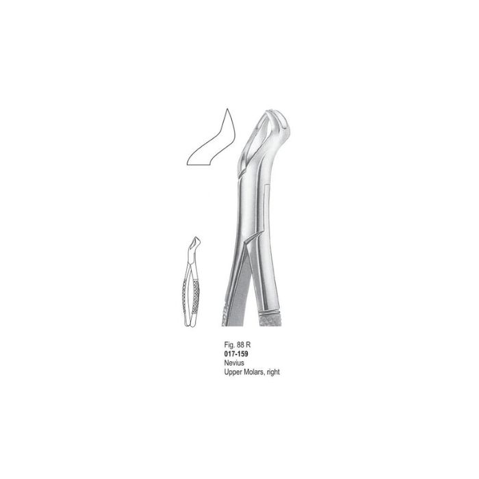 Extracting Forceps 017-159
