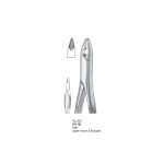 <h4>Extracting Forceps</h4> <h6> Fórceps De Extracción </h6> <h6> Zahnzangen </h6>
