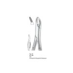 <h4>Extracting Forceps</h4> <h6> Fórceps De Extracción </h6> <h6> Zahnzangen </h6>