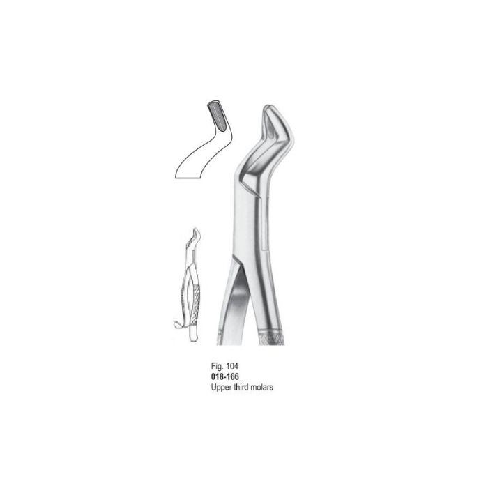 Extracting Forceps 018-166
