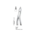 Extracting Forceps 018-167